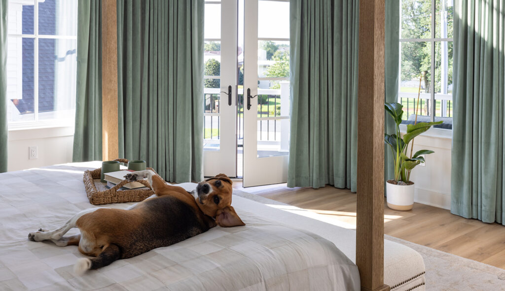 weipert dog on bed